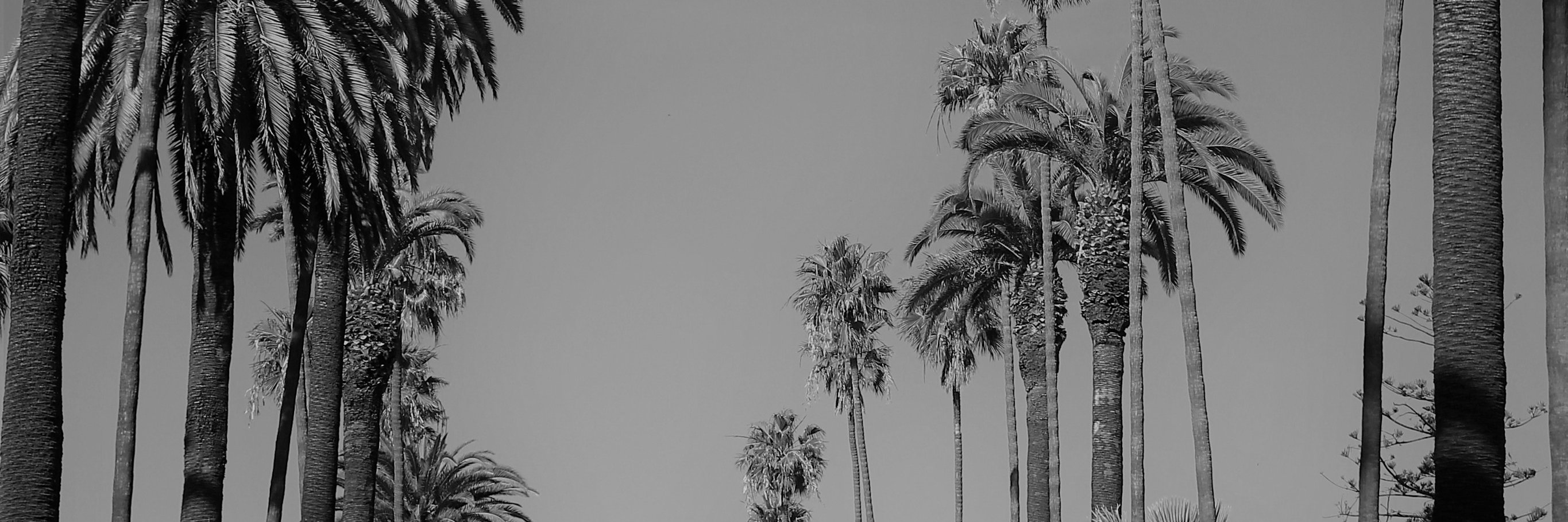 evenoone's profile banner image