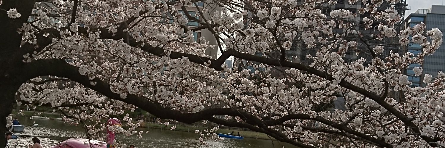 ゆうこ banner