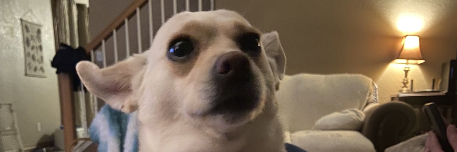 mayapamp's profile banner image