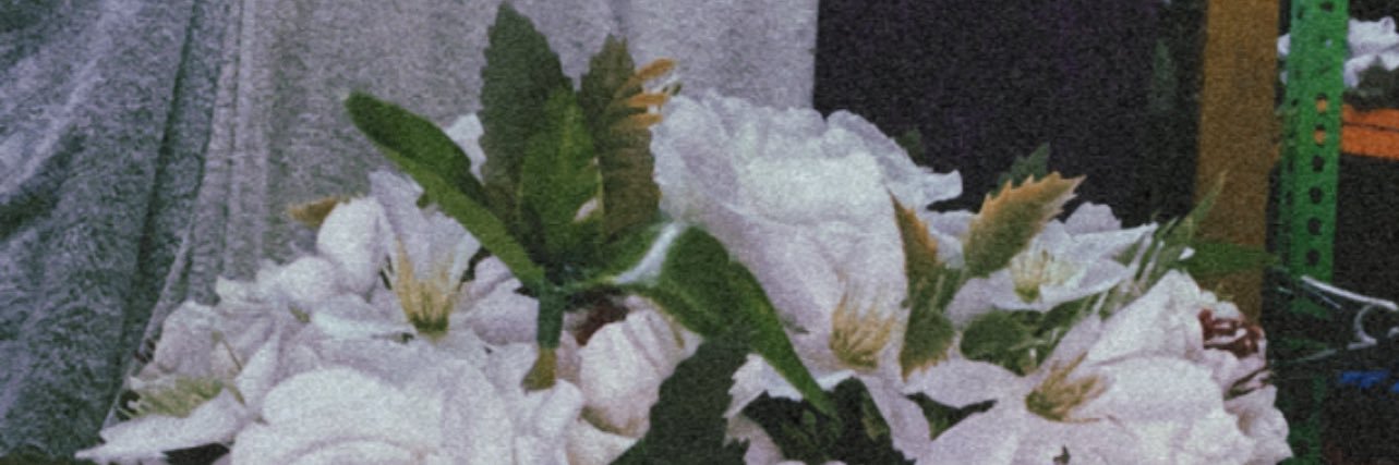 MieraaLaraa_'s profile banner image