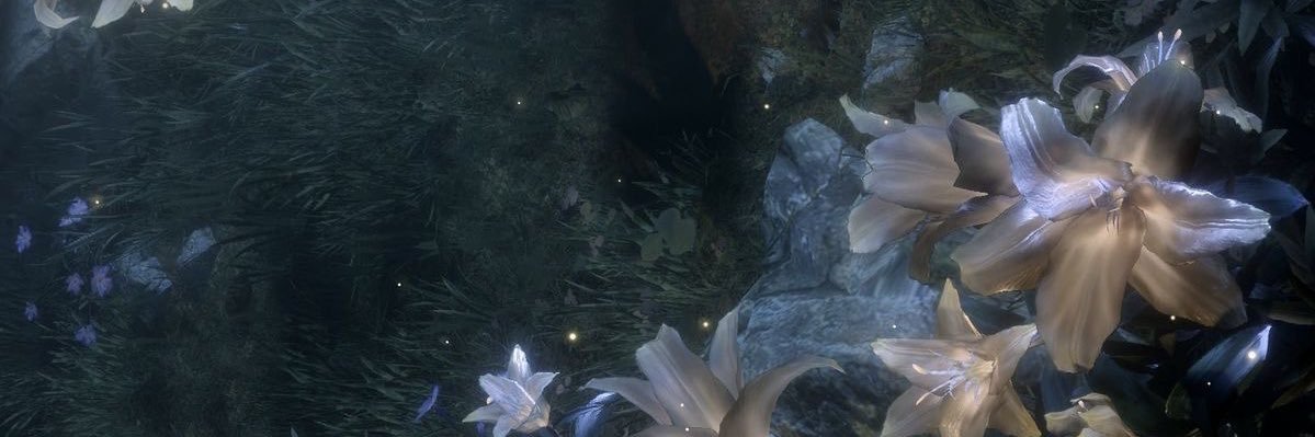 juwvang's profile banner image