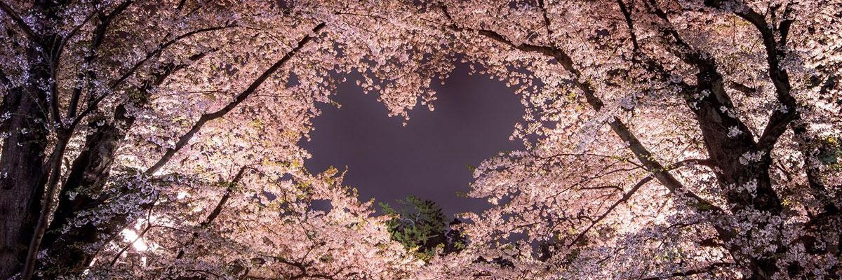 くおんたる banner