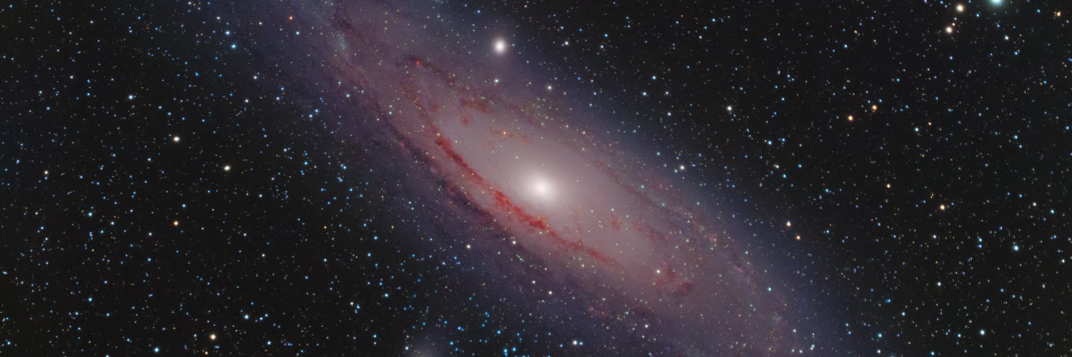 selfhypothesis's profile banner image