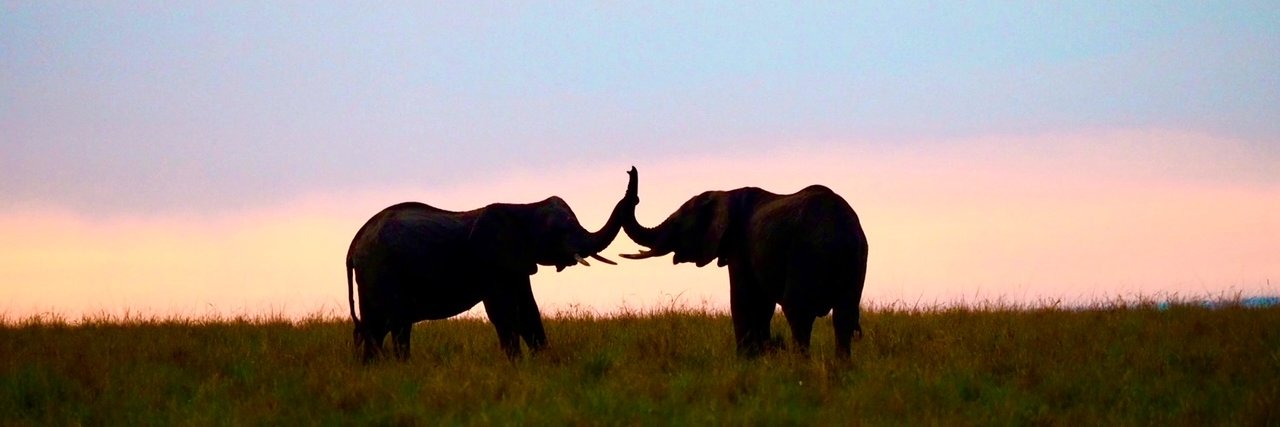 Basecamp Explorer Kenya banner