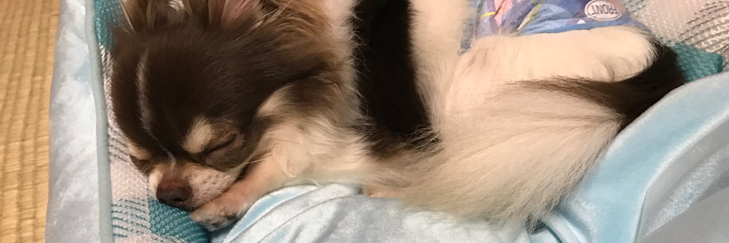 0124Kichi's profile banner image