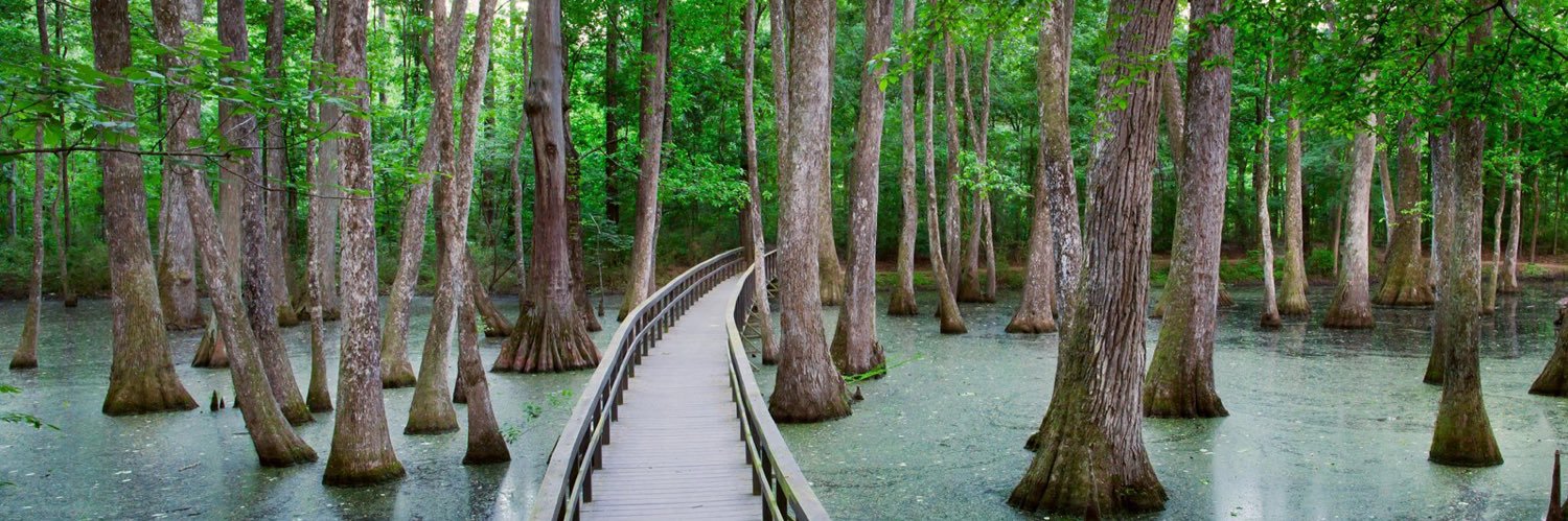 swampsaver fan account banner