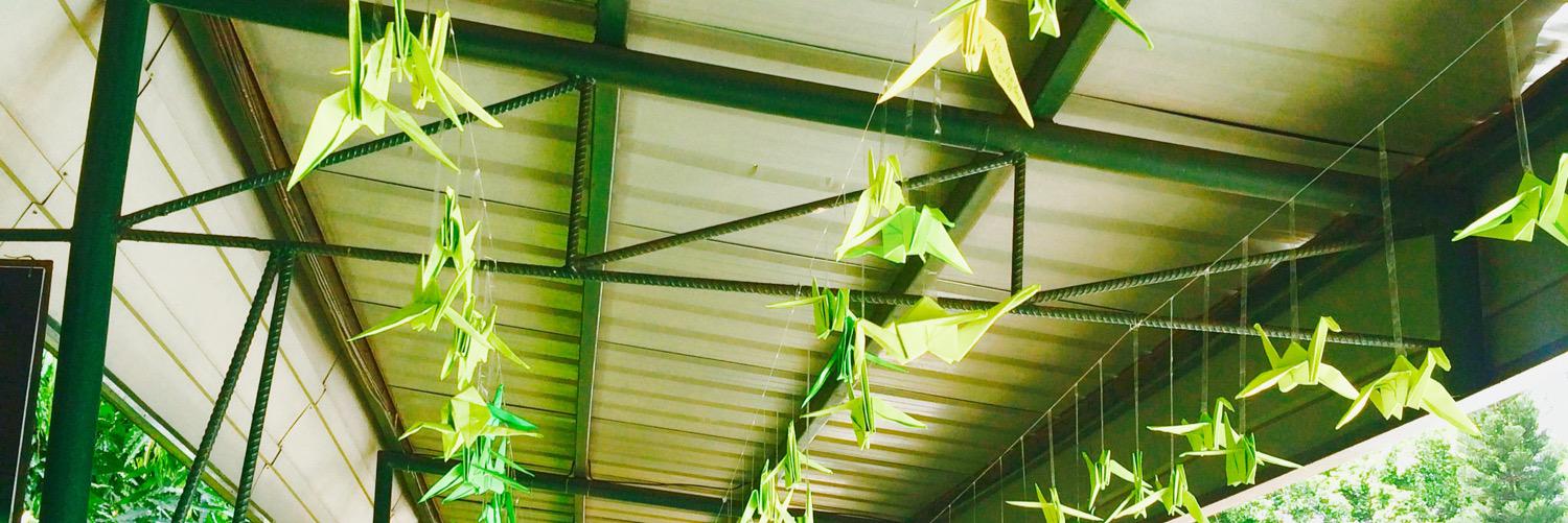 soaringPALCON's profile banner image