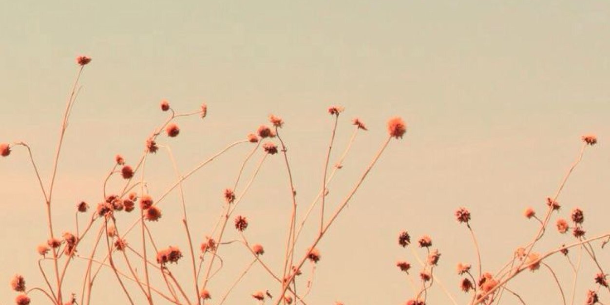 Yuryca's profile banner image