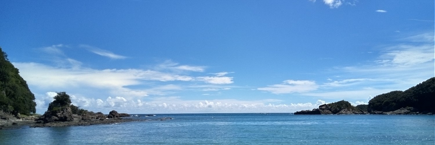 平雅行's banner