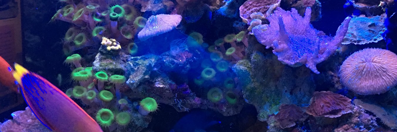 lennonrules's profile banner image