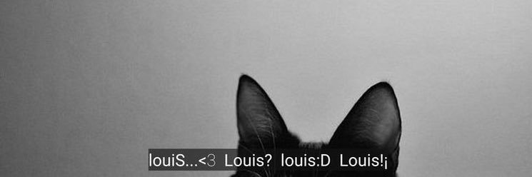 lex misses louis banner