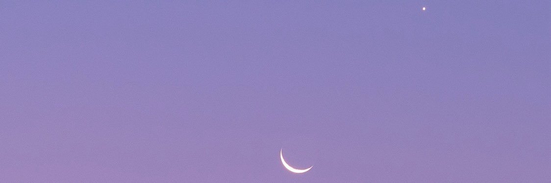 れ〰️な👾↝ banner