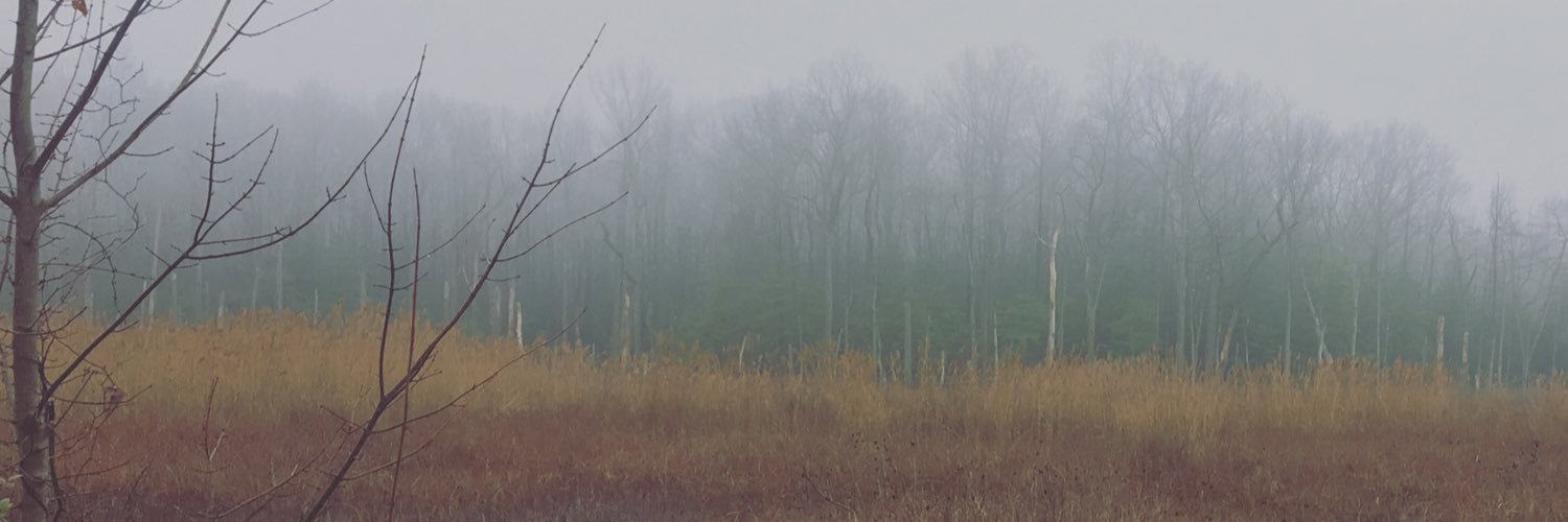 cryanpatterson's profile banner image