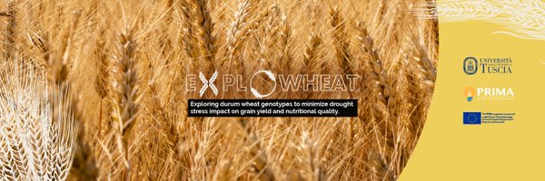 ExplowheatPRIMA Profile Banner