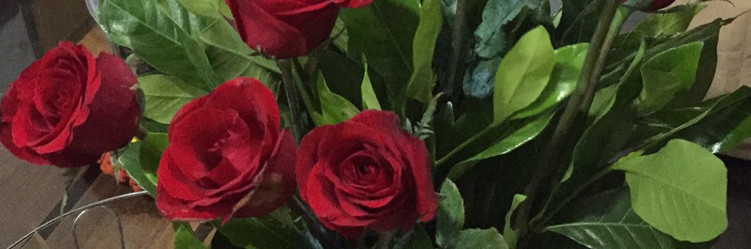 MarimarBassig's profile banner image