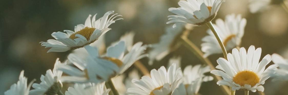 _______en10ve's profile banner image