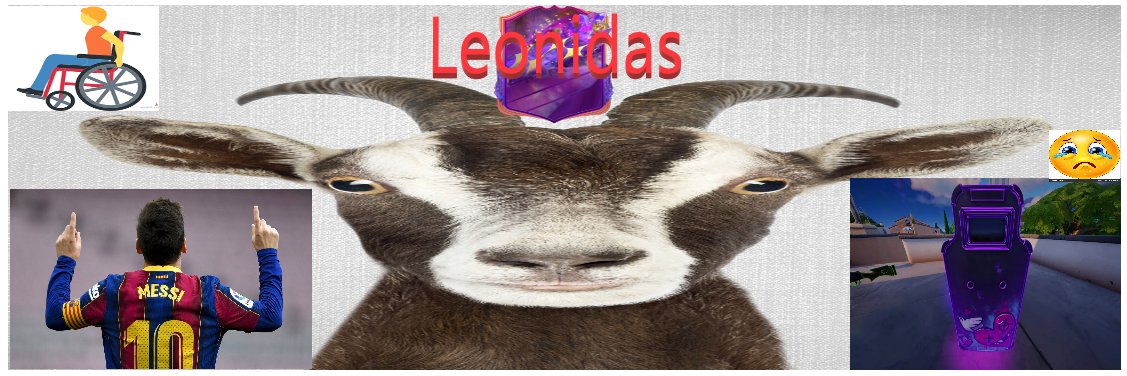 Leonidas banner
