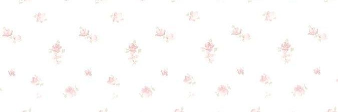 🪽 banner