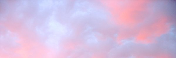 LUXE_______ Profile Banner