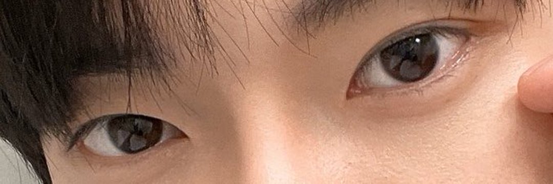 키라 (ᓀ‸ᓂ)| DOYOUNG SOAR 🪽 banner