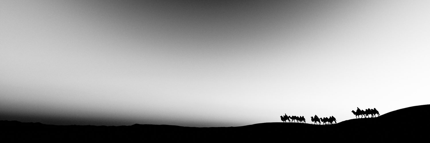 tkymnw's profile banner image