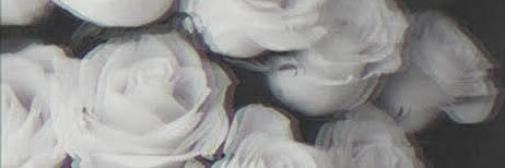 wg5dpjp_'s profile banner image