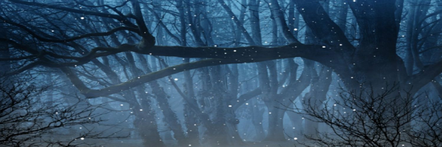 シェイク♥(魔梨歌) banner