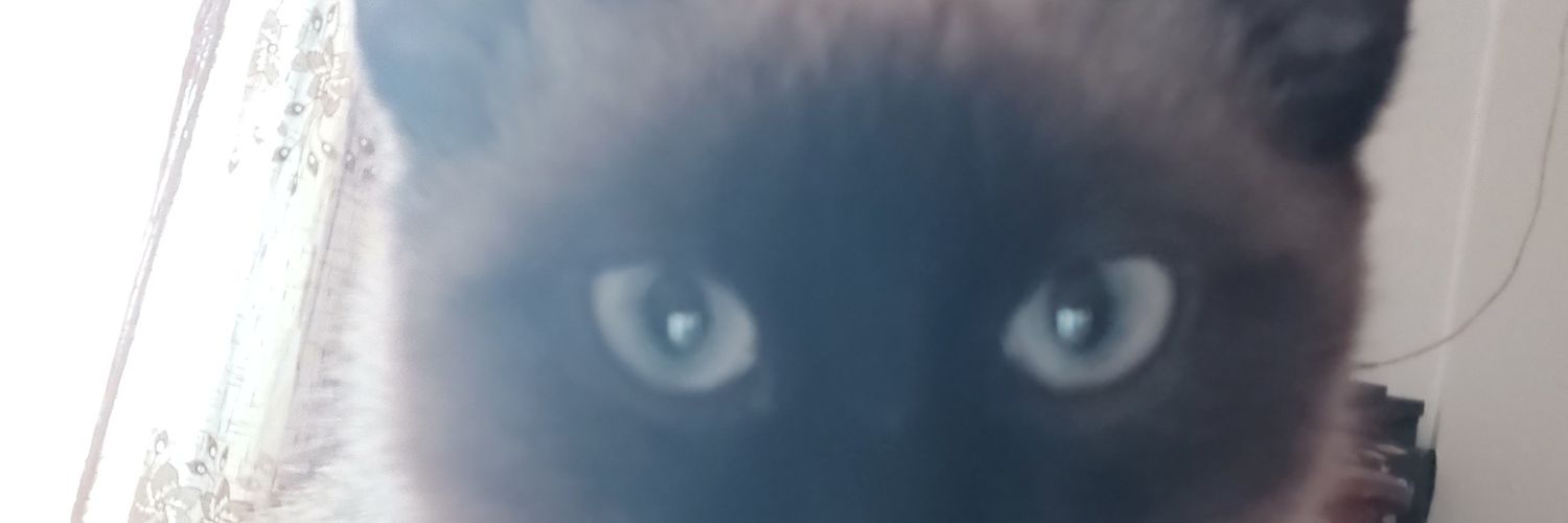 j_safti's profile banner image