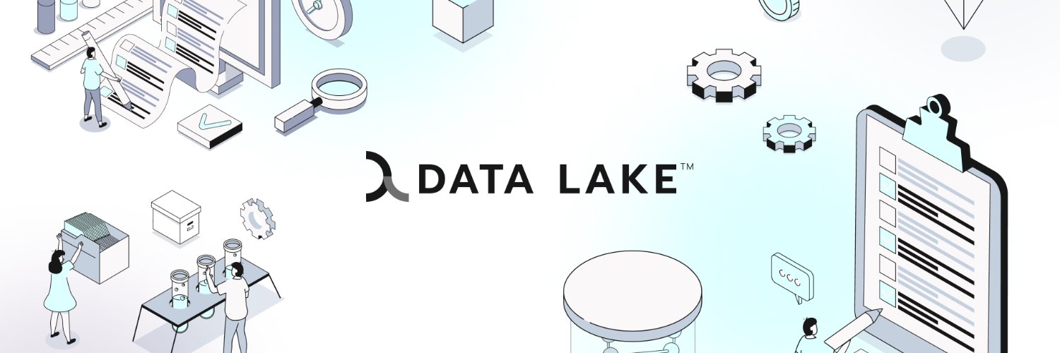 Data Lake Token's banner