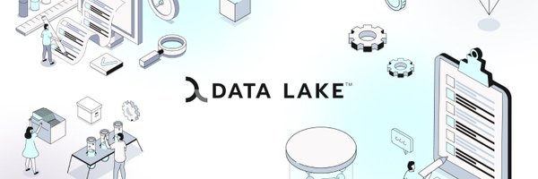 DataLakeToken Profile Banner
