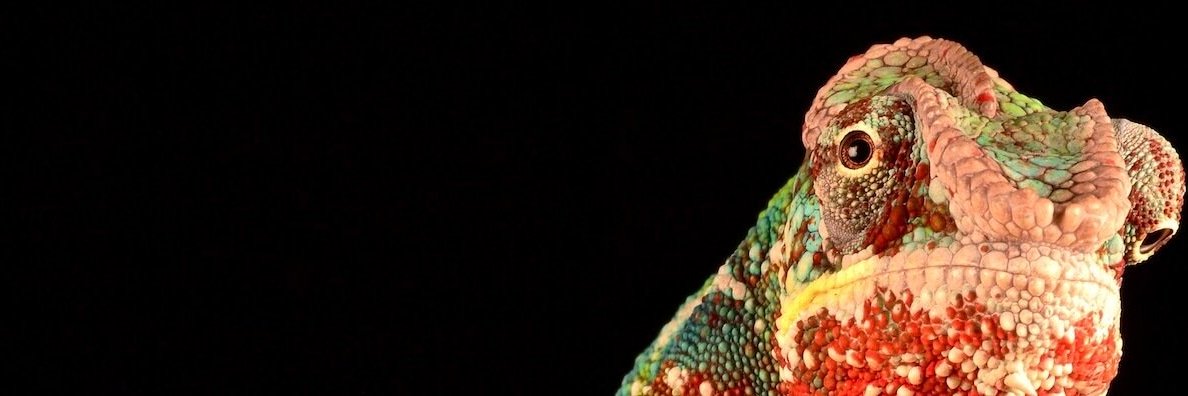 ingmkooij's profile banner image
