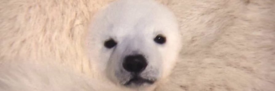 oinnio1's profile banner image