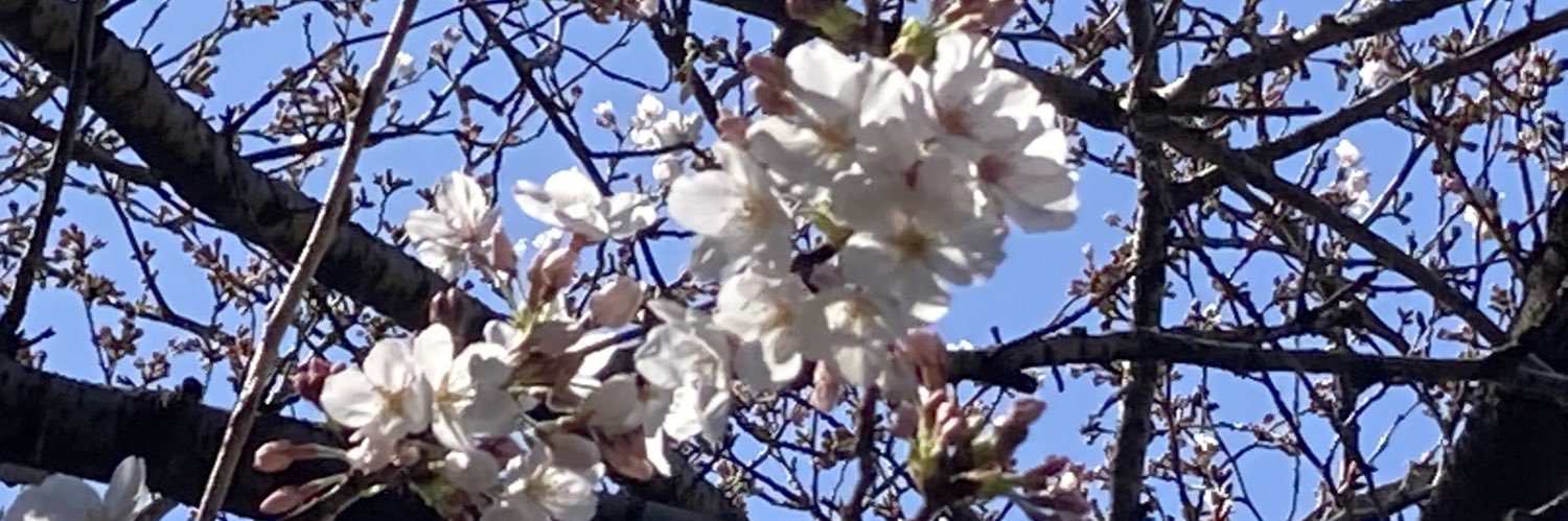ugachan blog's banner