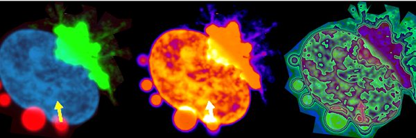 MannevilleL Profile Banner