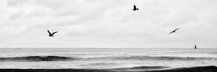 ohmvpatt's profile banner image