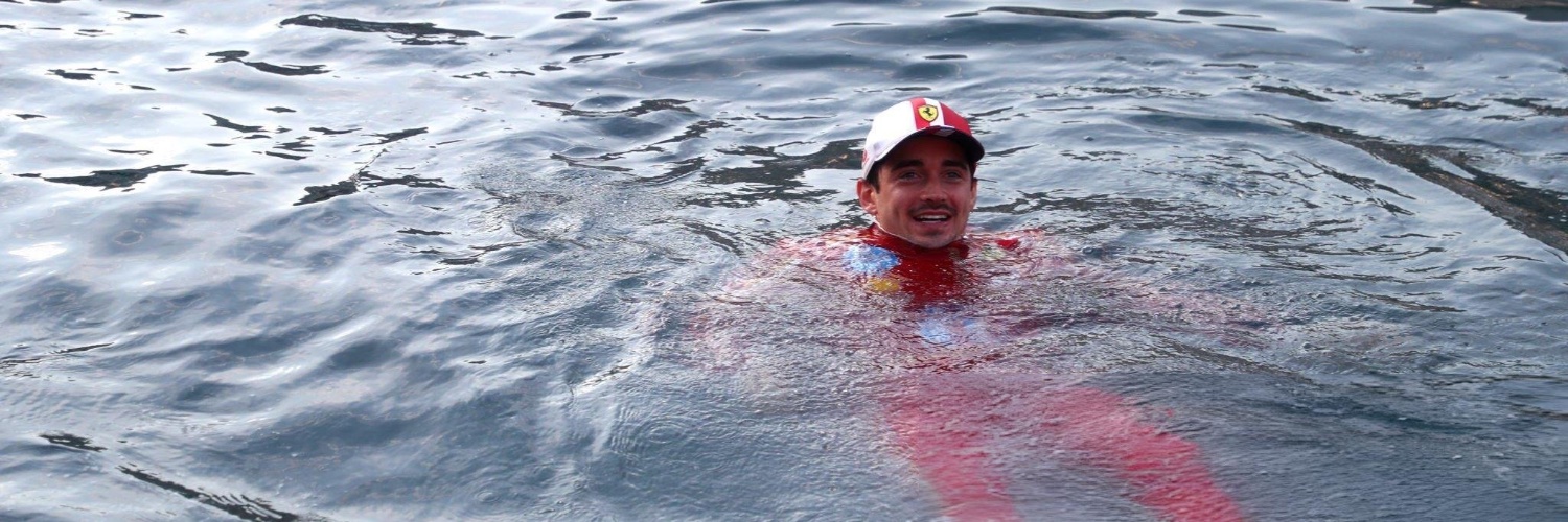 hambocat16.1. banner