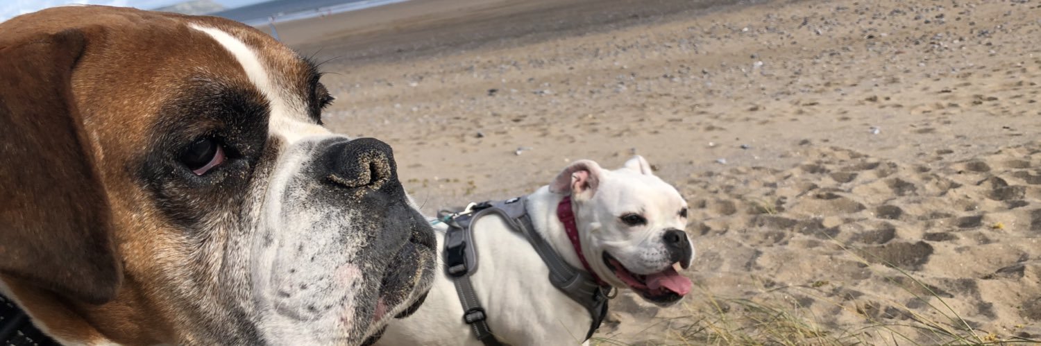 martin scrivens banner