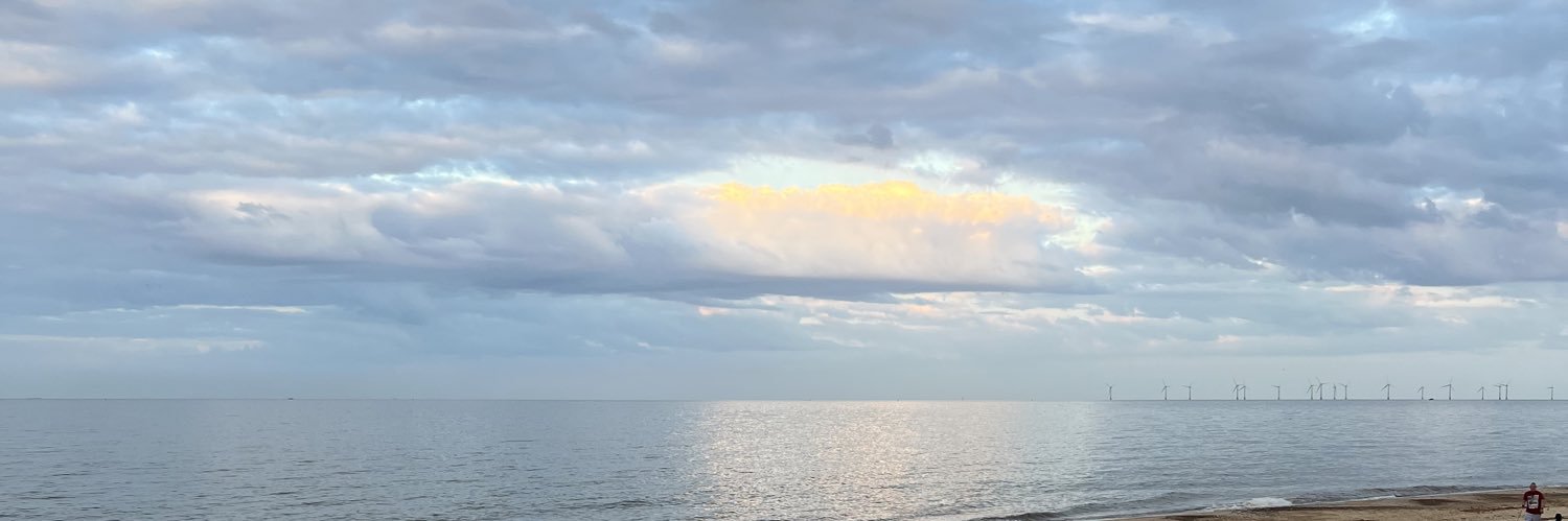 ShantelleScriv5's profile banner image