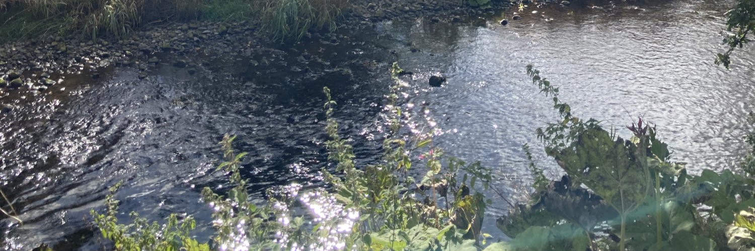 Monica 🤓🤪😇💪☀️🎂 banner