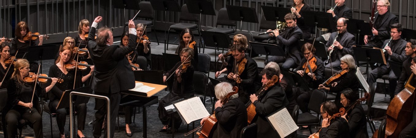 Lacey M Huszcza banner