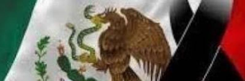 Michell79830019's profile banner image