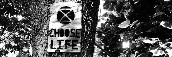 DustymuzzleNFT Profile Banner