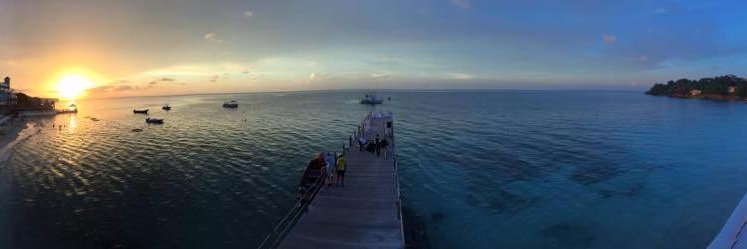 colbcox's profile banner image