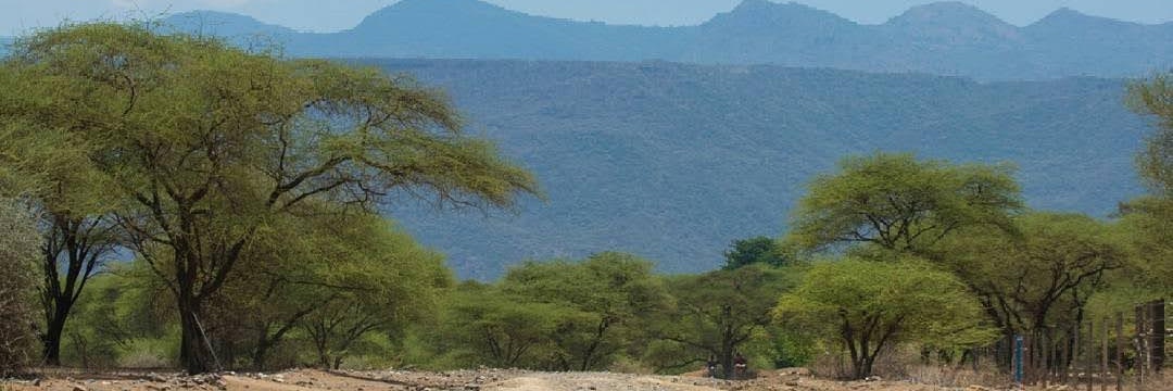 MwendwaTim's profile banner image