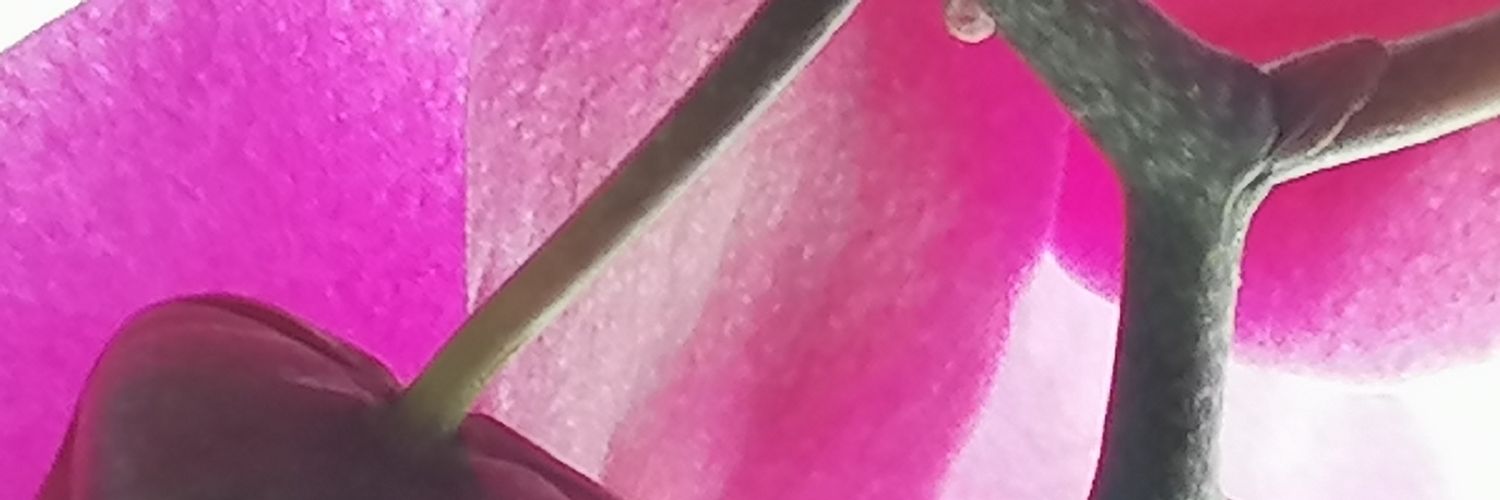 7068Sanna's profile banner image