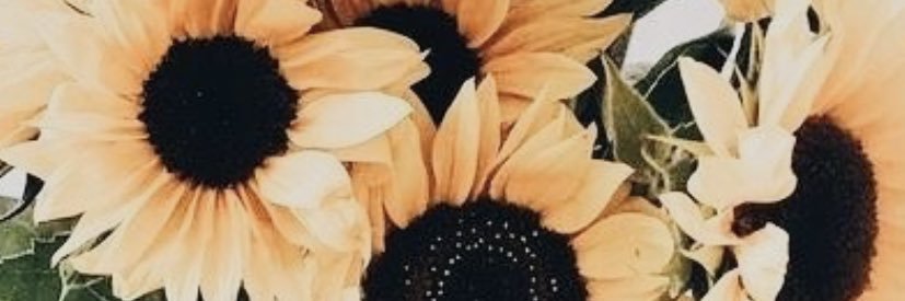 alexisslorin's profile banner image