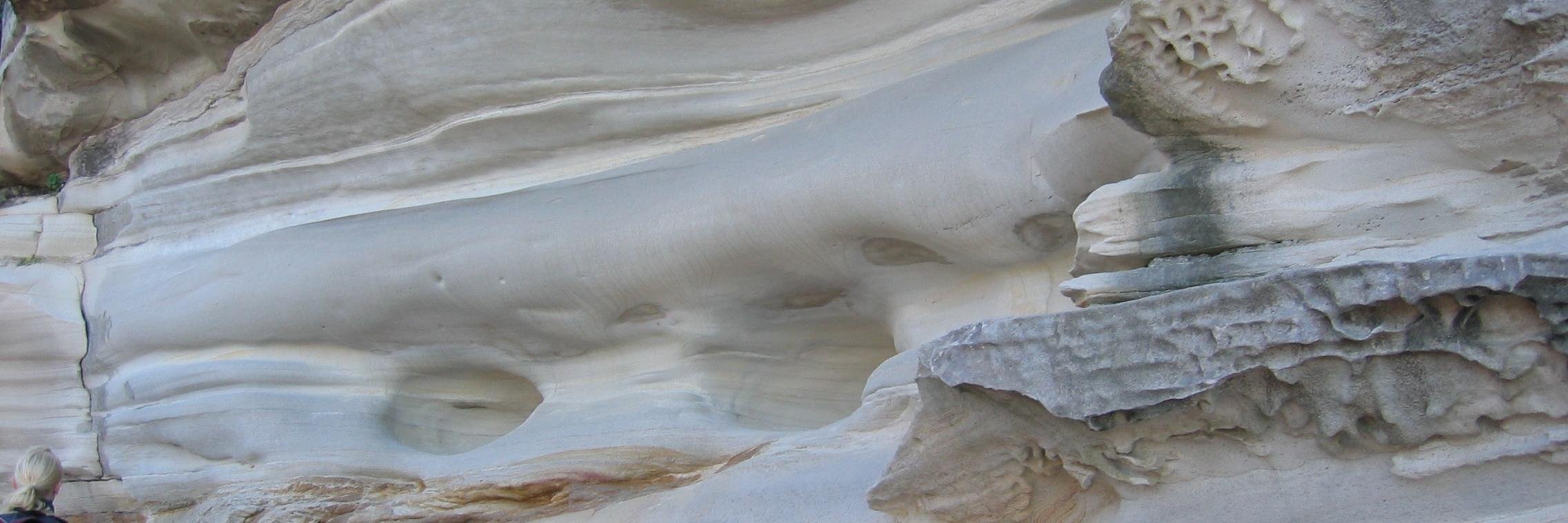 Taru Lindeman banner