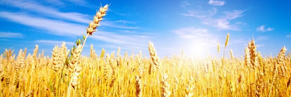 Притомна українка🇺🇦 banner