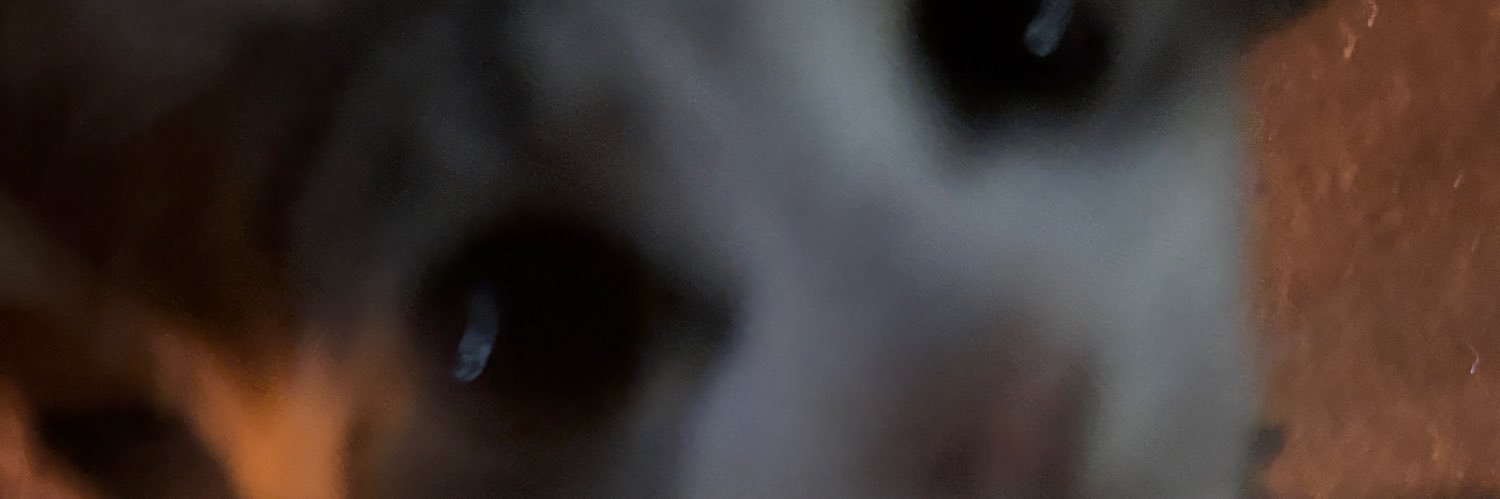 lis banner