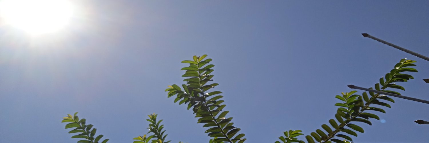 xdrumgrulx's profile banner image